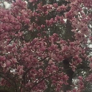 Meet your Posher, Ify